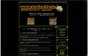 erfolgreich, beliebt, der Held - brainattack v2 - regenerated ::: anno 2001